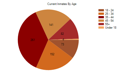 Inmates by age