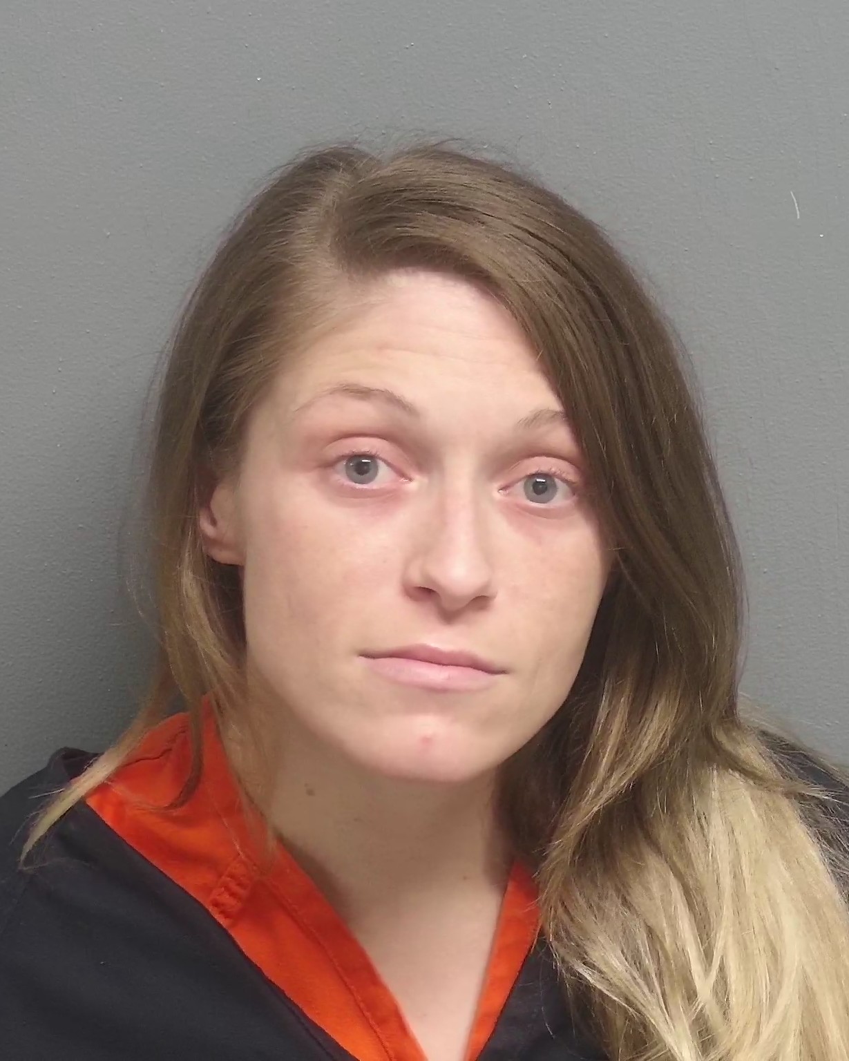 Silverdale Chattanooga Inmate Search - gf4xxxz