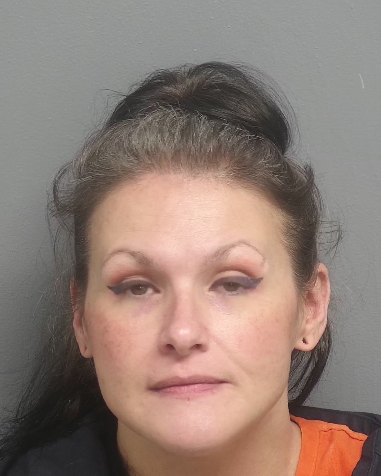 Labette County Inmate Roster - 48kftrt