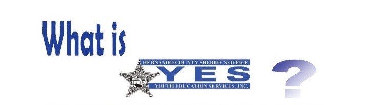 What is Y.E.S.? Logo