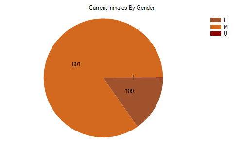 Inmates by gender