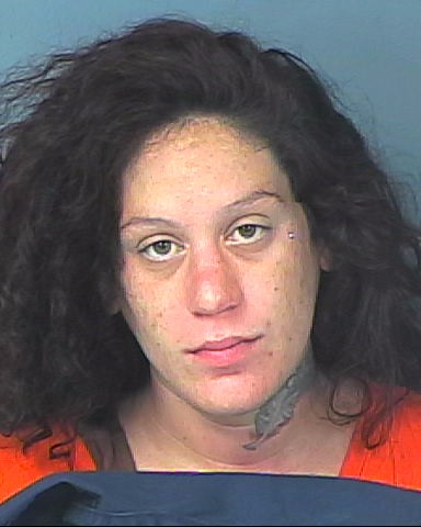 Hernando County Detention