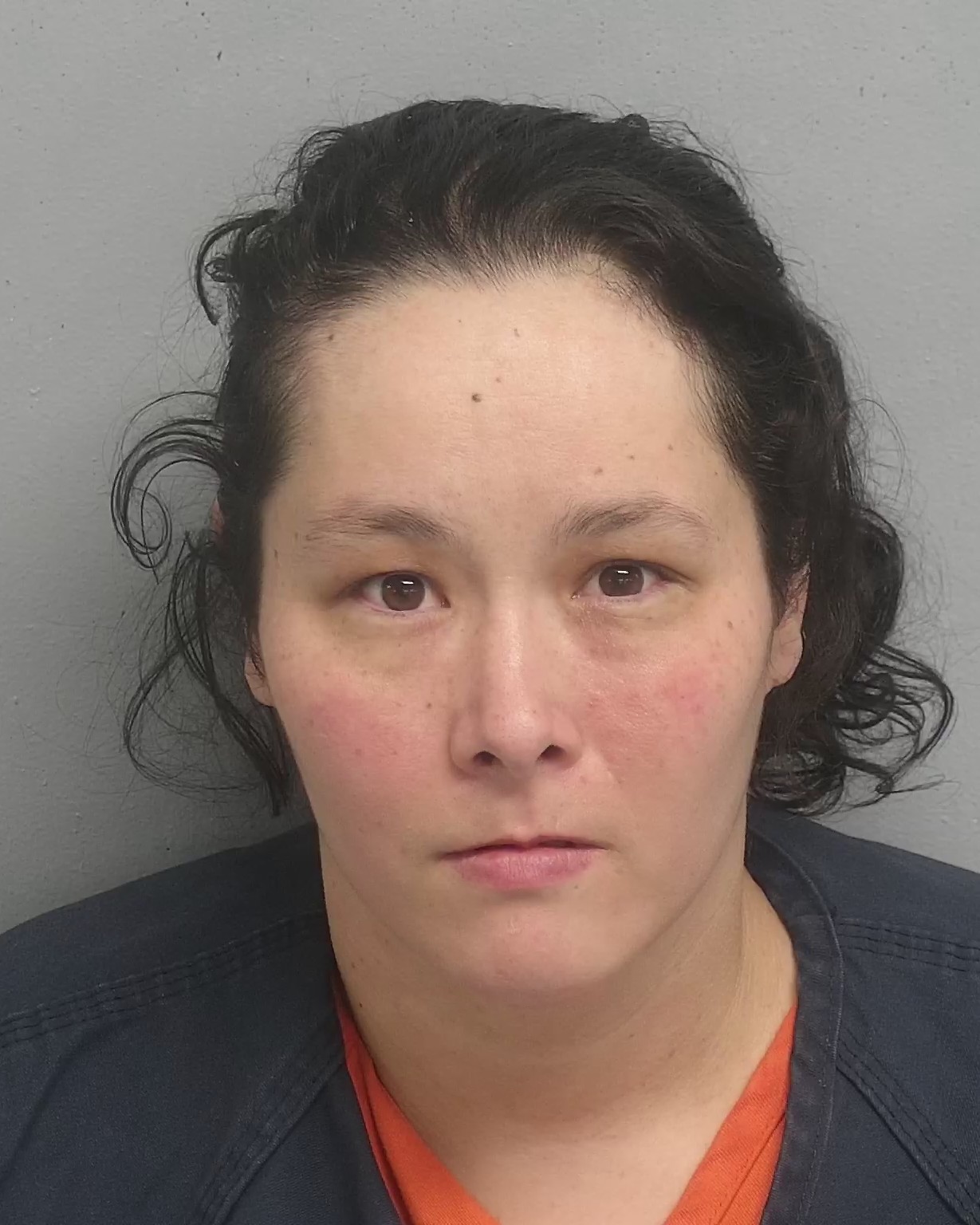 Georgetown County Detention Center Inmate Search 33 - hvmc528