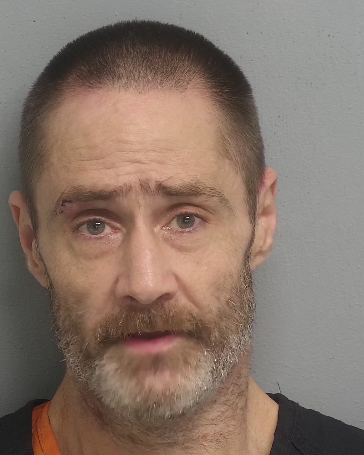 Darlington Inmate Search