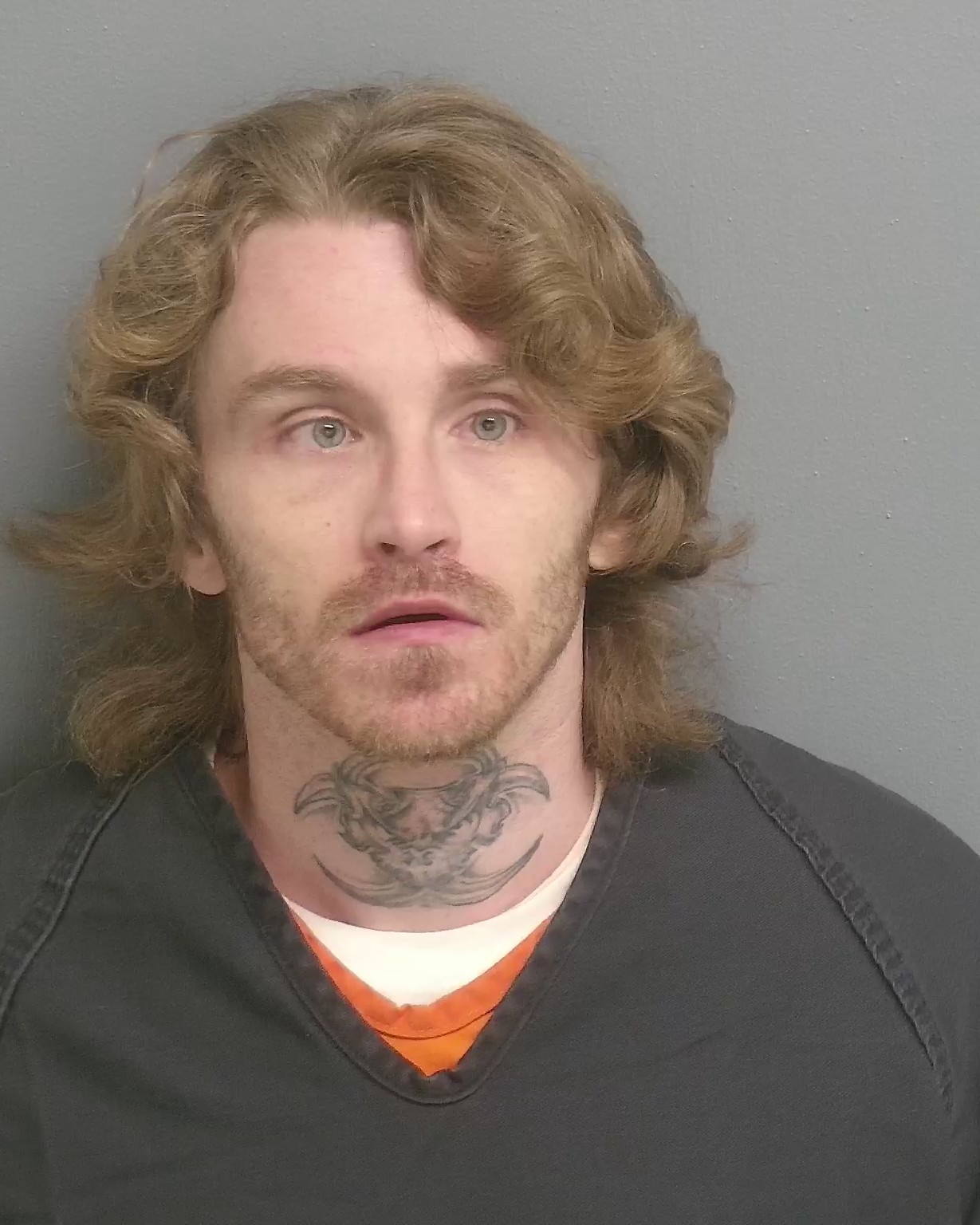 Gaffney County Inmate Searchcareer Search Result Html - ktyuizf