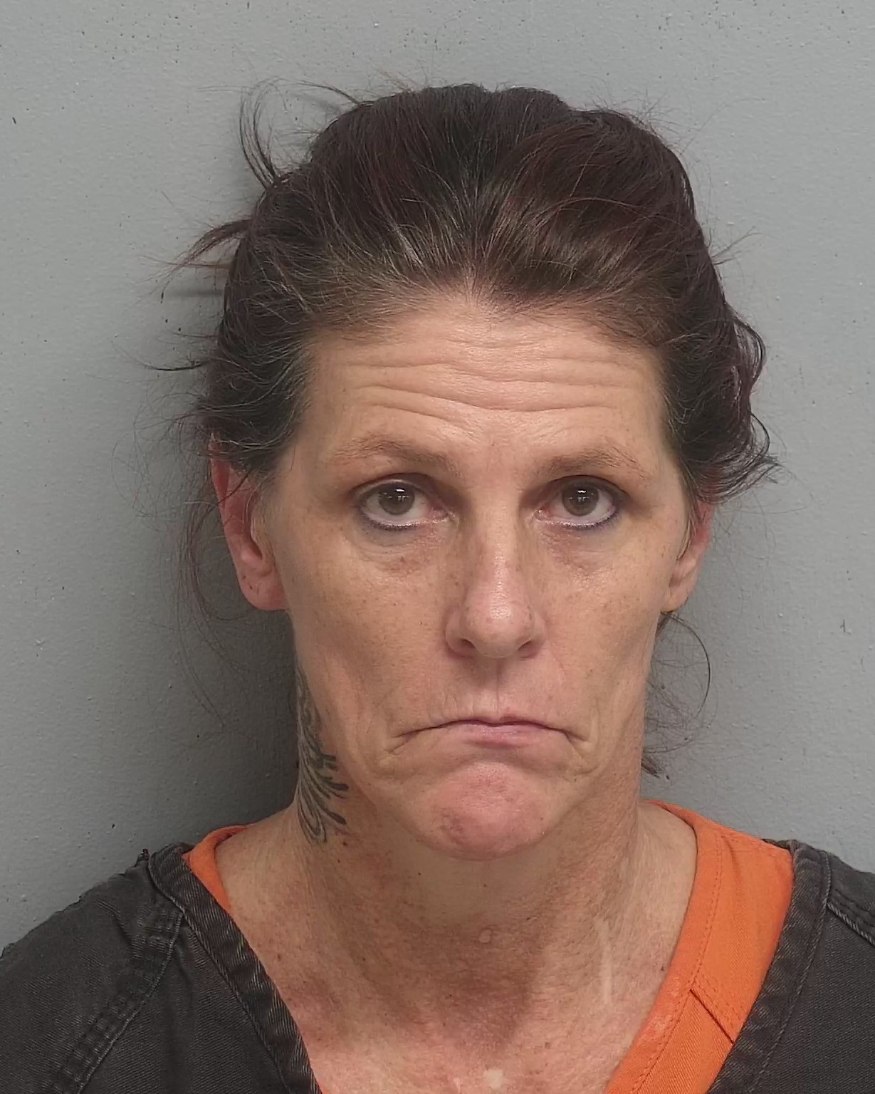 Georgetown County Detention Center Inmate Search 33 - a4x3t2s