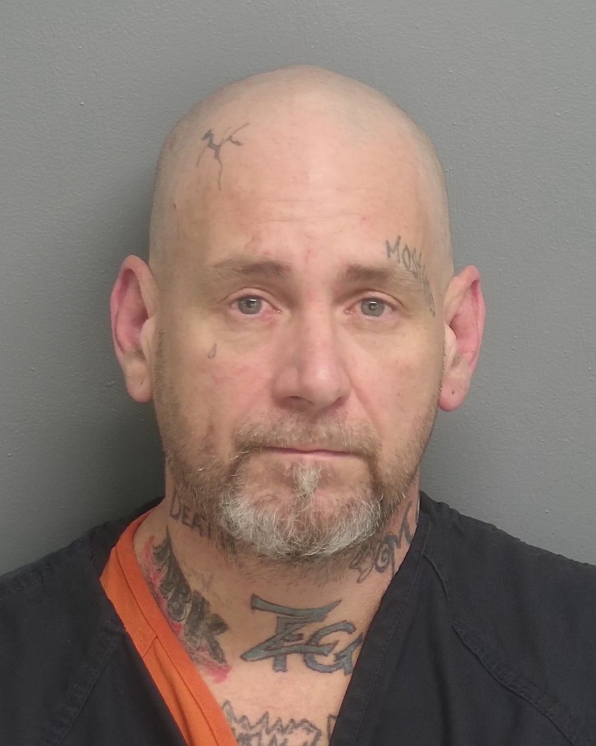 Inmate Roster Cape Girardeau - d1qwk2q