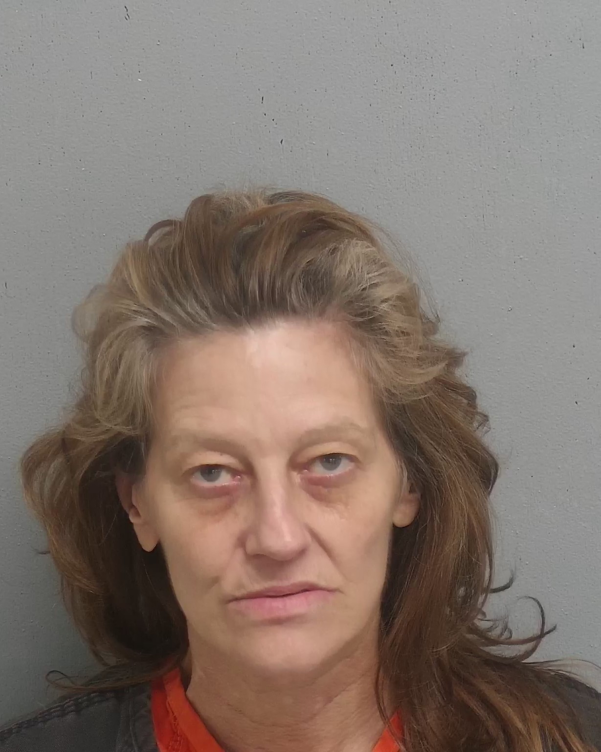 Canadian County Inmate Search 78 - qivm2l8