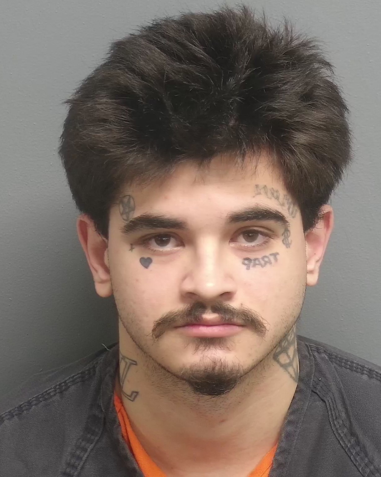 Fresno County Inmate Bookings - f3btufh