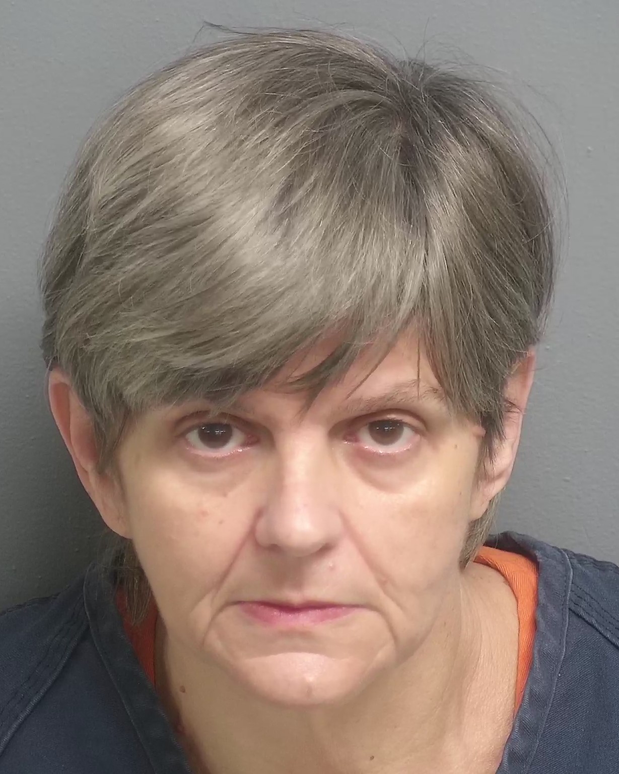 Georgetown County Detention Center Inmate Search 33 - 7opwopz