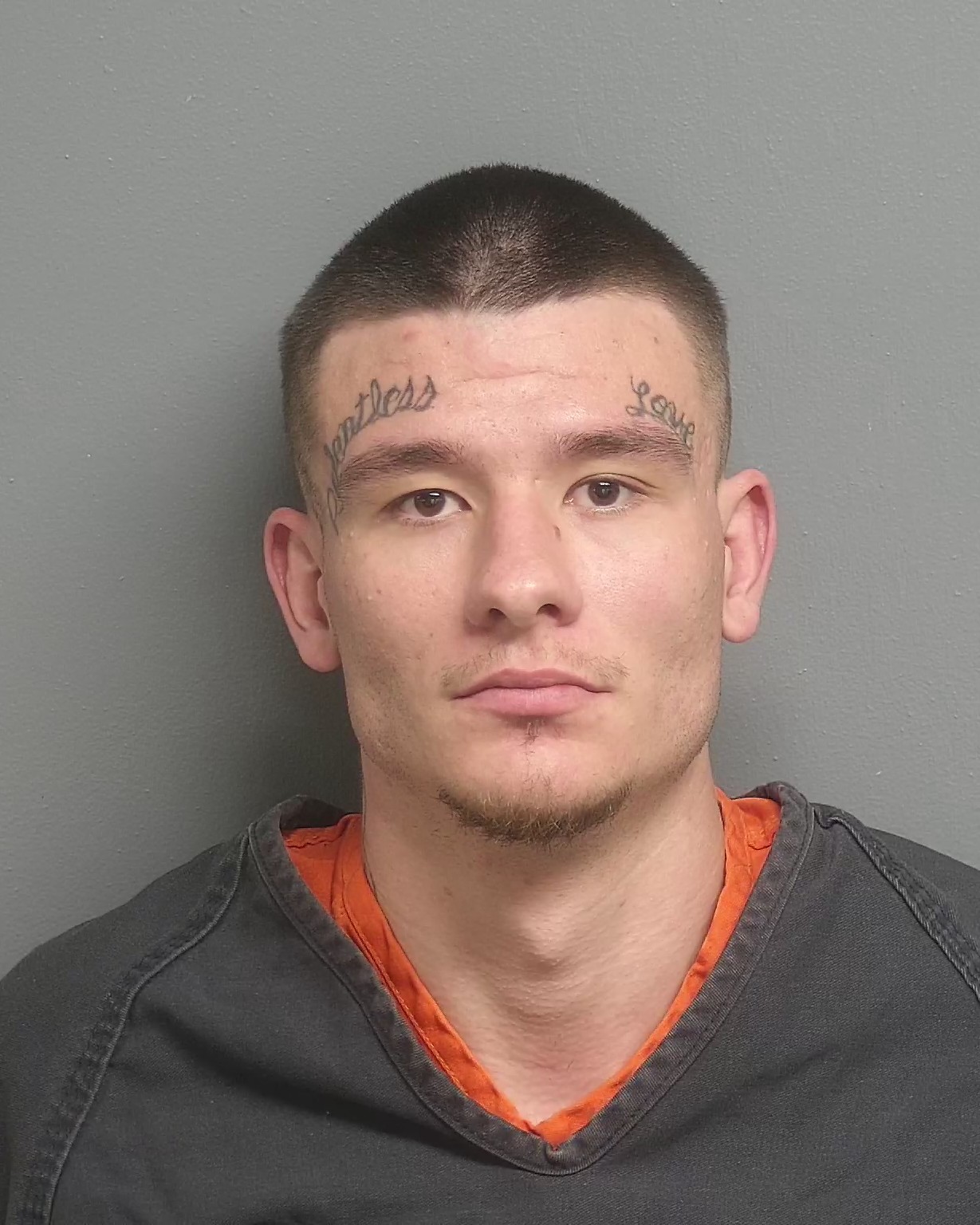 Inmate Roster Dekalb County 22 - orlo8wt