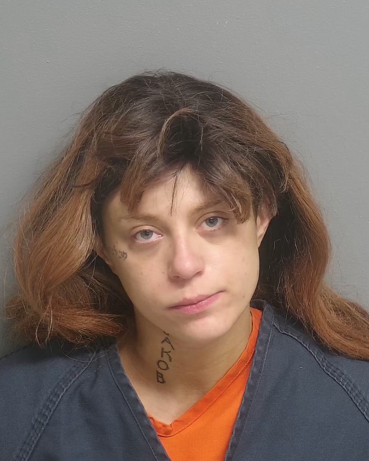 Inmate Search Guilford County - 2obs8jf