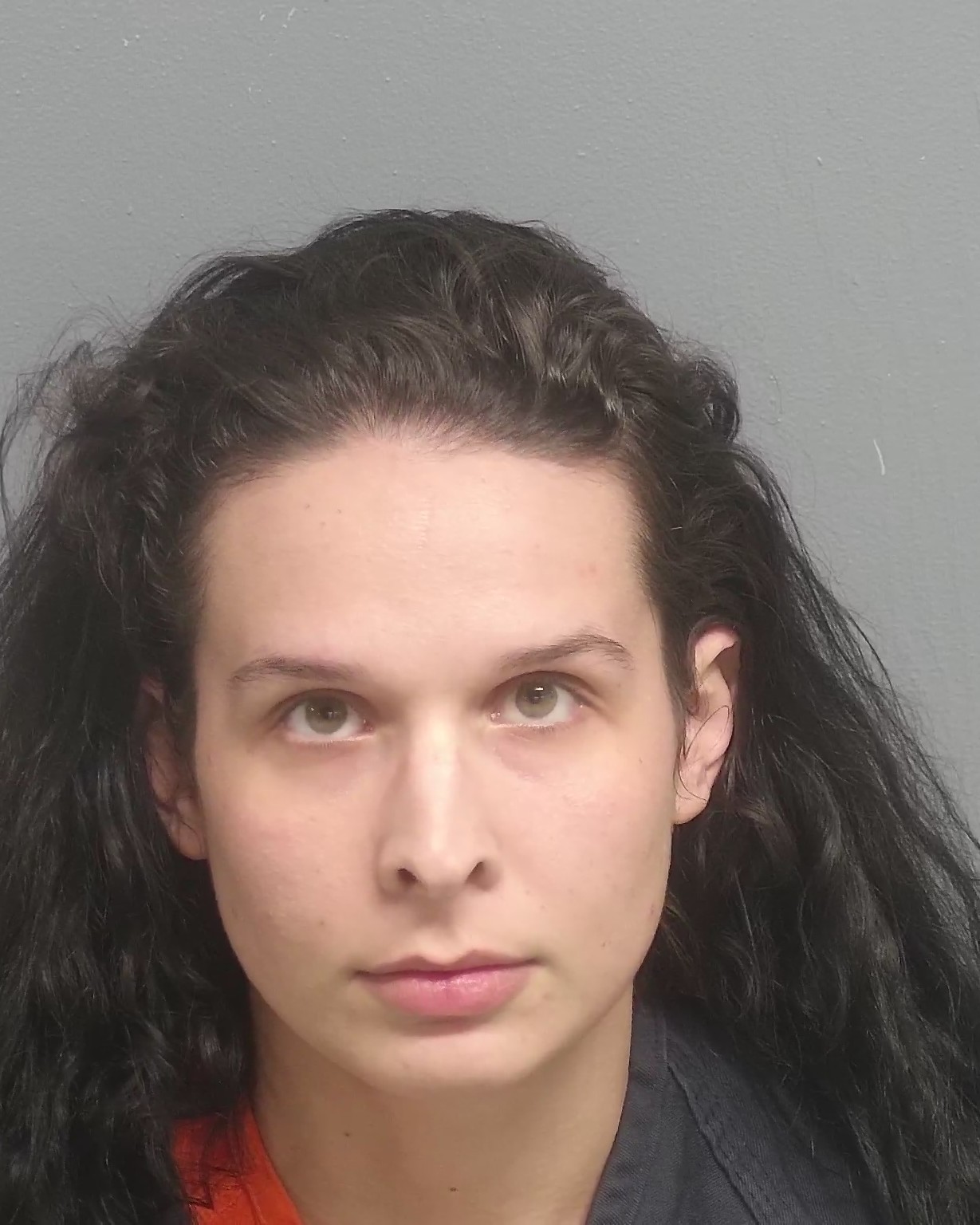 Kenosha Jail Inmate Search - uquzg3u