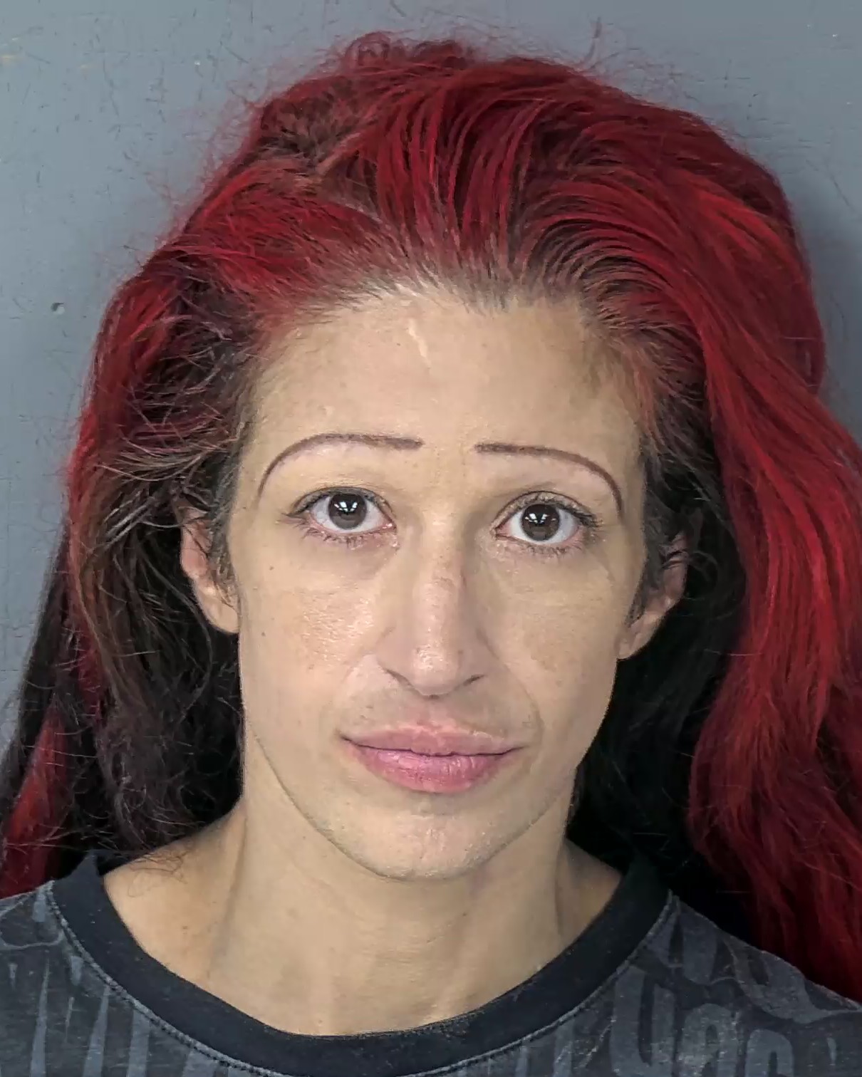 Hernando County Detention