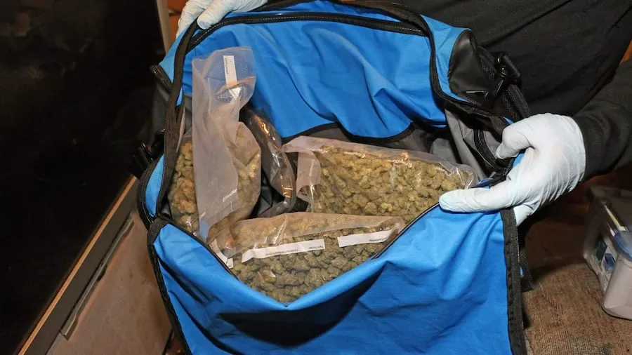 Vice and Narcotics search warrant scene